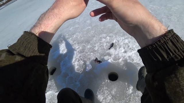 ТРИ ДНЯ В ТАЙГЕ / ОДИН В ТАЙГЕ / ИЗБА / РЫБАЛКА / ВИДЕО ОХОТА / БЫТ НА ИЗБЕ смотреть онлайн