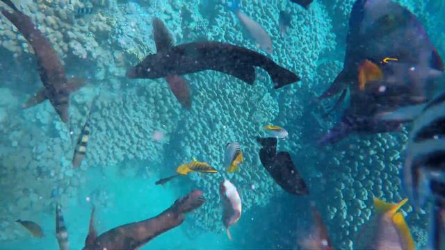 Зимнее солнце в 4к☀️❄️