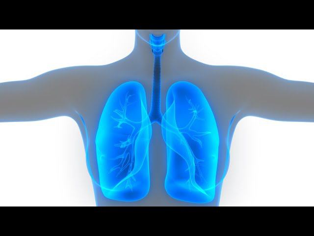 Задержка дыхания исцеляет от любых болезней!