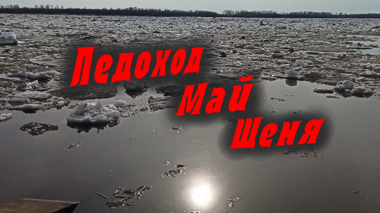 Ледоход, Май, Щеня.