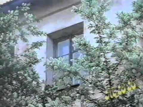 Песня о Борзе