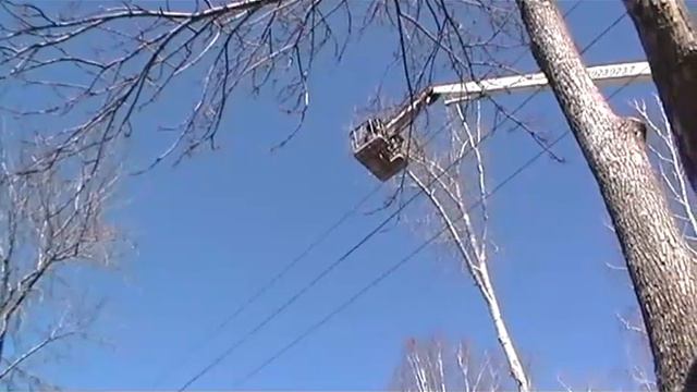 ТСЖ "Эльмашевское" Весенняя стрижка деревьев смотреть онлайн
