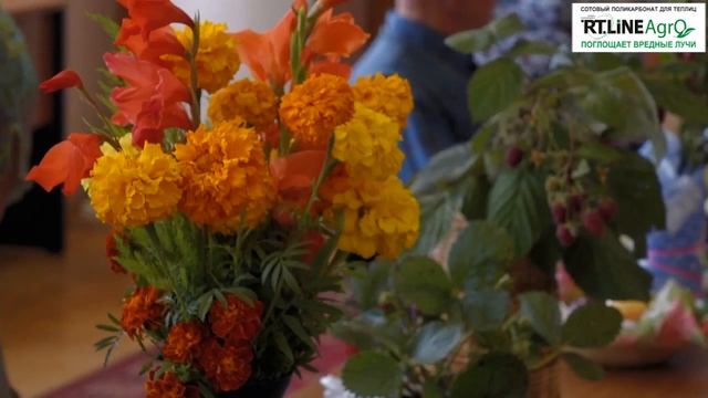 Дары садов и огородов Брянщины. Ежегодная выставка. Часть 1 смотреть онлайн