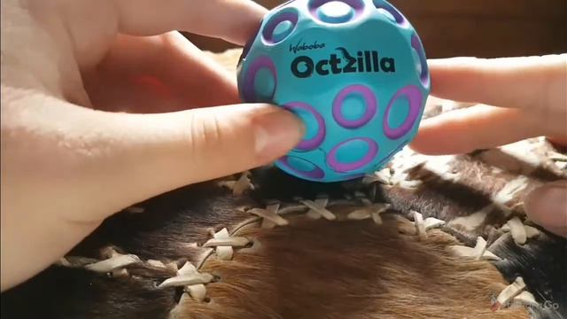 Waboba Bouncing Ball