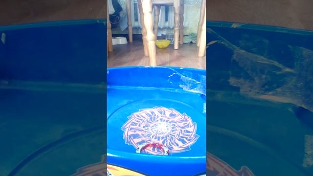 Чемпионат бей Блэйд феникс смотреть онлайн