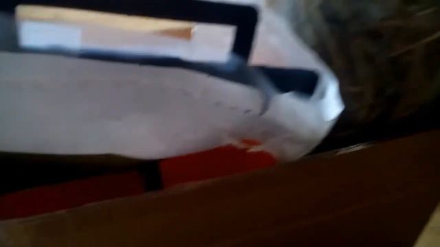 Как содержать декоративного кролика смотреть онлайн