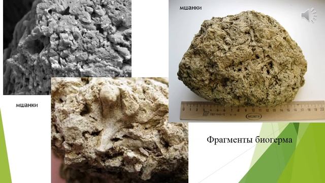 Тема "Карбонатные и кремнистые породы" смотреть онлайн