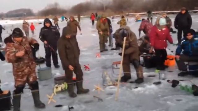 Стрелецкий Ручей 1212- 3 смотреть онлайн