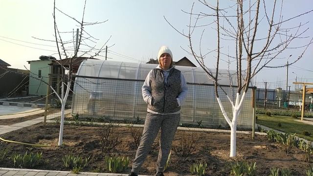 Обработка деревьев от вредителей: чем опрыскать деревья весной смотреть онлайн