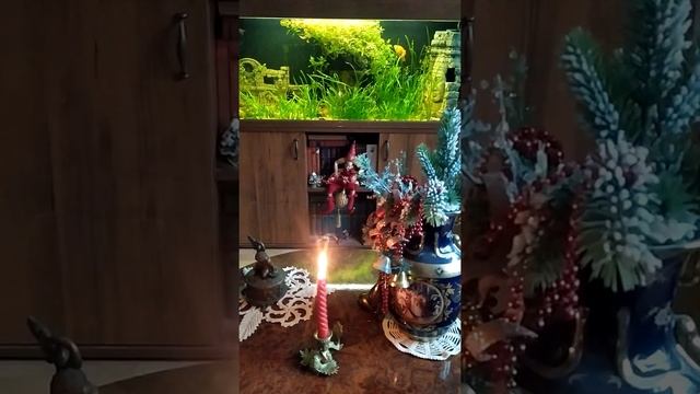 Сказки / Васкеловские Сказы: Сказ про Чертов ручей и Поговорка грибника. смотреть онлайн