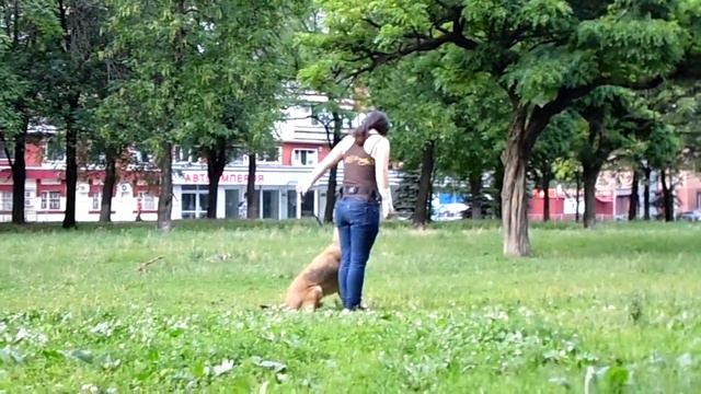 Тим послушание смотреть онлайн