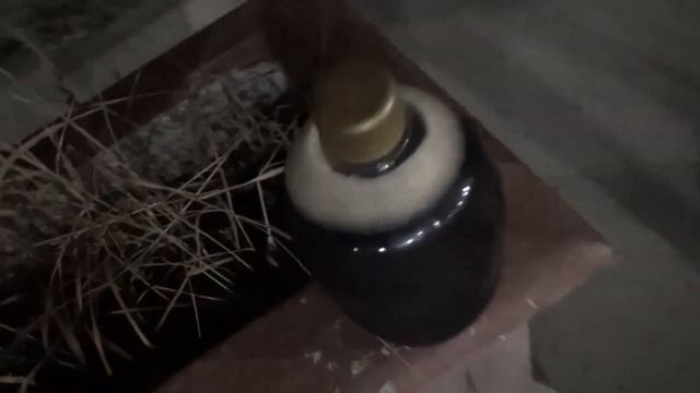 Осьминог и Крым. Впечатления об отдыхе. Распаковка и обзор фигурки (игрушки) Человек-Паук Toy Biz смотреть онлайн