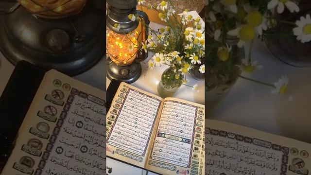 Сура ал-кахф в пятницу #каҳф смотреть онлайн