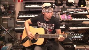 #GREGBENNETT D2/12 12-струнная акустическая гитара