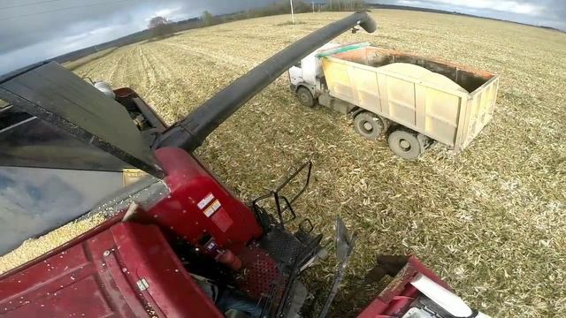Передовой комбайн ОАО Гомсельмаш КЗС-2124КР смотреть онлайн