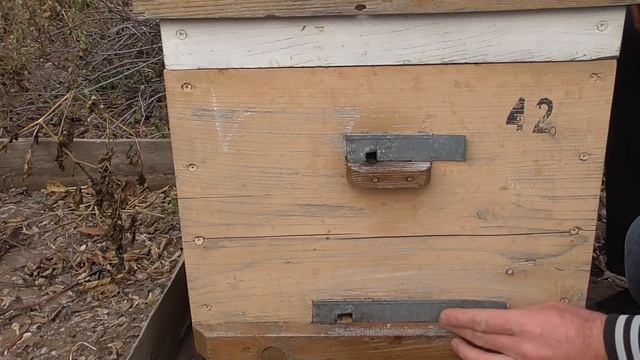 Начало зимовки/Зимовка пчел/Хорошая зимовка. смотреть онлайн
