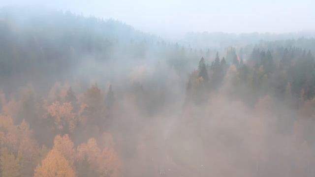 КРАСИВАЯ МУЗЫКА ДЛЯ СНА | УСПОКОЕНИЕ | РЕЛАКС смотреть онлайн