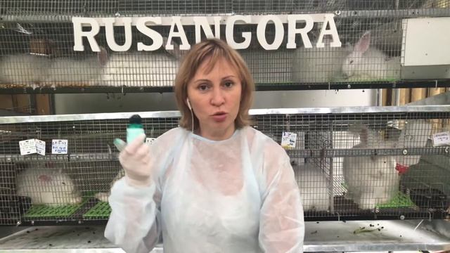 Как Клеймить Кролика? смотреть онлайн