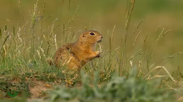 Успокаивающая музыка для нервов ? лечебная музыка для сердца и сосудов, релакс, музыка для души