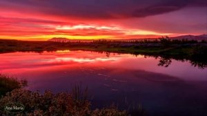 Spatial Vox - Incanto d'Amore