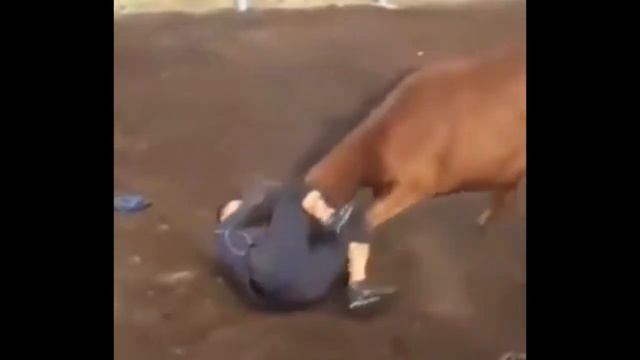 Укрощение дикой лошади#укрощениелошади# смотреть онлайн