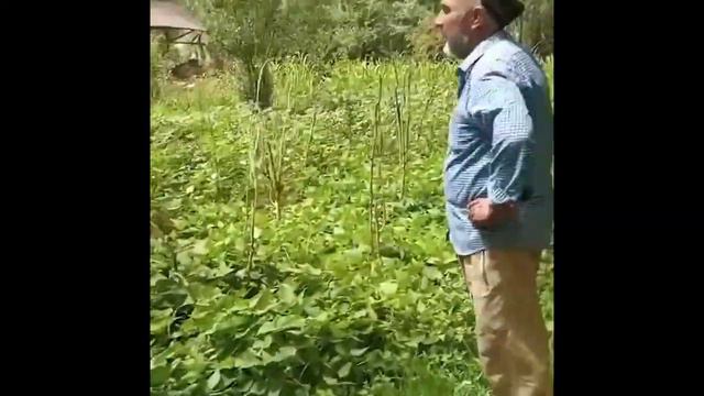 СЛОЖНО ПОВЕРИТЬ! ЛЮДИ ДО СИХ ПОР НЕ ВЕРЯТ В ПРОИСХОДЯЩЕЕ! смотреть онлайн