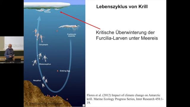 HHU - Ringvorlesung Klimakrise und Wir (11): "Auswirkungen des Klimawandels auf die Biodiversität" смотреть онлайн