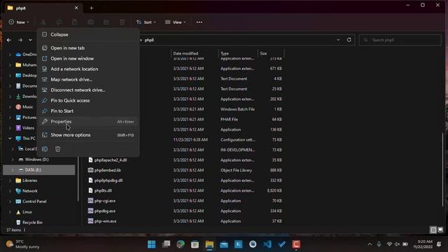 How to setup Environment Variable for php command in Windows 11 смотреть онлайн