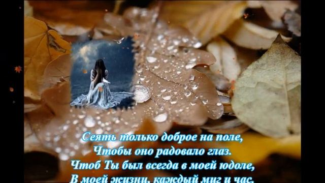 Полоса полосочка (христианское стихотворение) смотреть онлайн