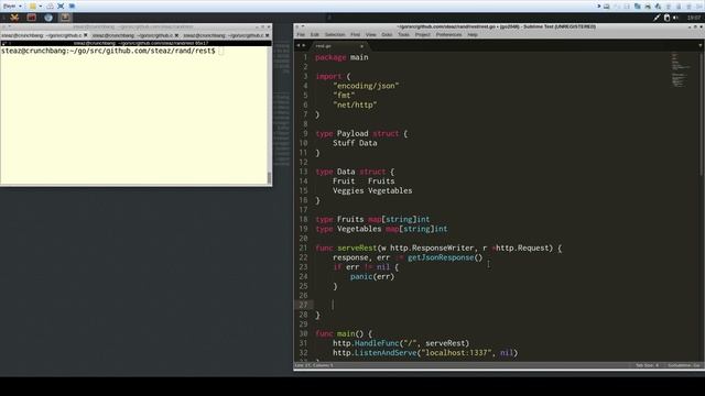 Simple JSON Rest API in Go (tutorial) - Creation & Consumption смотреть онлайн