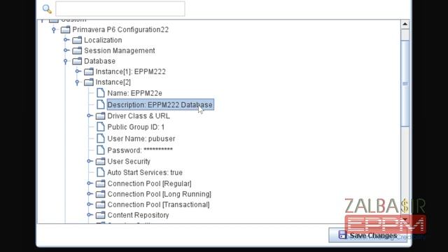 Add Link to A Second Database For Primavera P6 EPPM смотреть онлайн