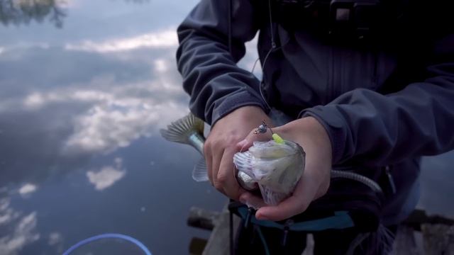 Как поймать СУДАКА? Лучшие приманки для ловли судака! Время спиннинга #1! смотреть онлайн