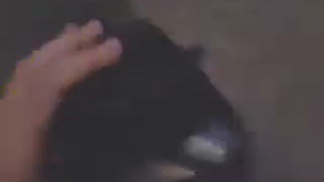 Обзор на Lexus Is 350