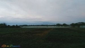 Туман.Атмосферное явление.