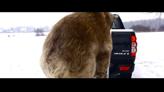 Крышка кузова Triffid Trucks смотреть онлайн