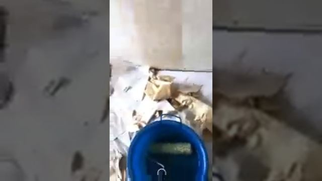 Как правильно и быстро снять старые обои со стены смотреть онлайн