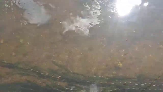 Жерех на Москва реке г. Звенигород смотреть онлайн