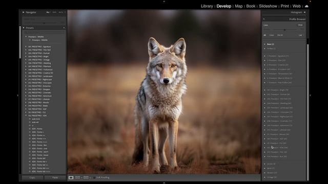 FREE Lightroom Preset "Wildlife" Before & After смотреть онлайн