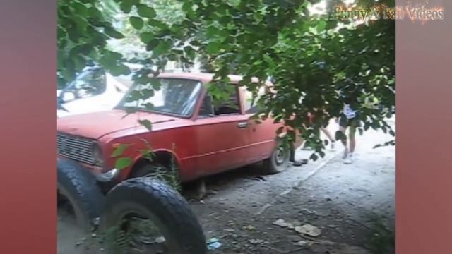 Ninja Cats - Ninja Cats Compilation Part 2 - Funny Cats смотреть онлайн