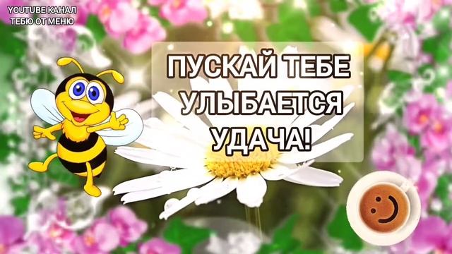 Ласкового Доброго Утра ? Мирного Неба ? С Добрым Утречком Хорошего Дня Открытка! #сдобрымутром смотреть онлайн