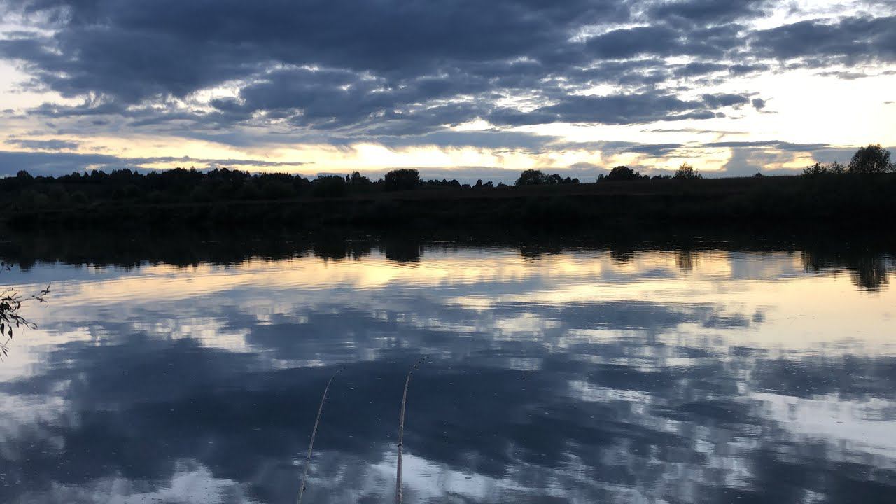 Жор ЛЕЩА в сентябре / Наловили много леща на фидер / Река Ока фидер / Рыбалка с ночевкой смотреть онлайн