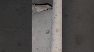 Подтяжка ручника Газ 3309