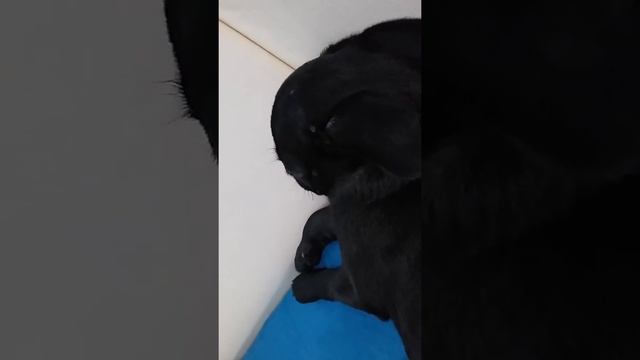 Я так не храплю смотреть онлайн