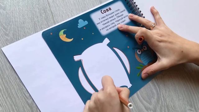 «МОИ ПЕРВЫЕ ТРАФАРЕТЫ» | Развиваем воображение, память и креативное мышление! смотреть онлайн