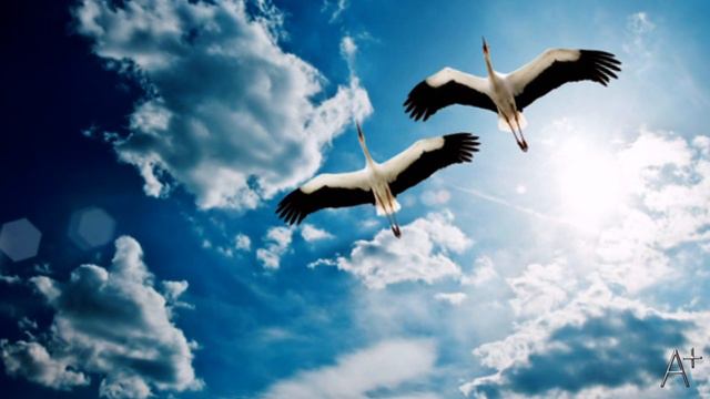 СЫНОК КАК РАНО ТЫ УШЕЛ смотреть онлайн