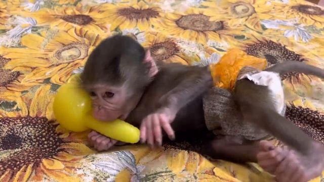 Люся и Пипетка перевернули ДОМ ВВЕРХ ДНОМ! Немного радости вам в ленту! смотреть онлайн