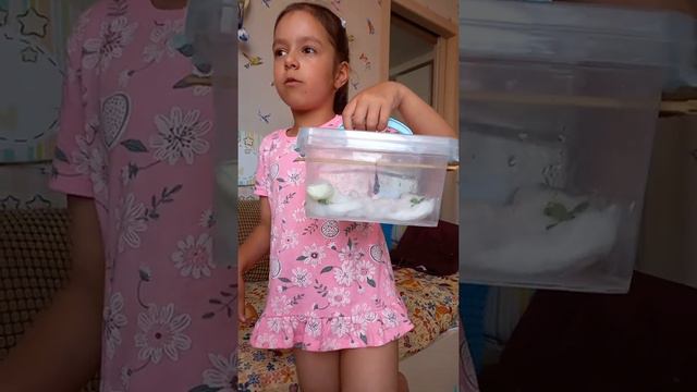 01. Ева и её бабочки. Бабочкариум Handmade.Eve And She's Butterfly  #batterfly #homemade #handmade