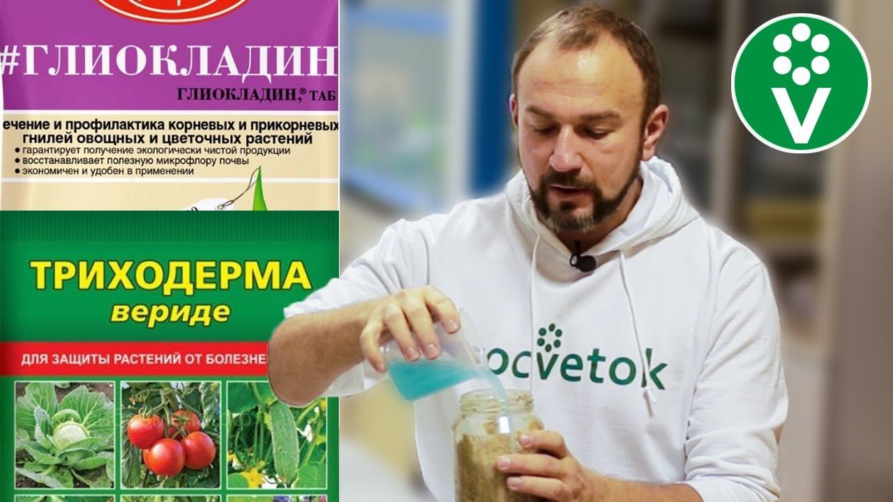 ОЖИВИТЕ ТРИХОДЕРМУ! Простой способ получить в 10 раз больше пользы от биопрепарата смотреть онлайн