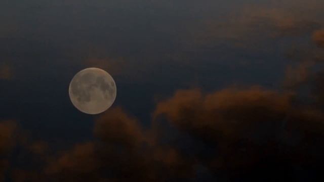 Монолог Береги себя... - читает Татьяна Эльснер (слова Tatiana Elsner) смотреть онлайн