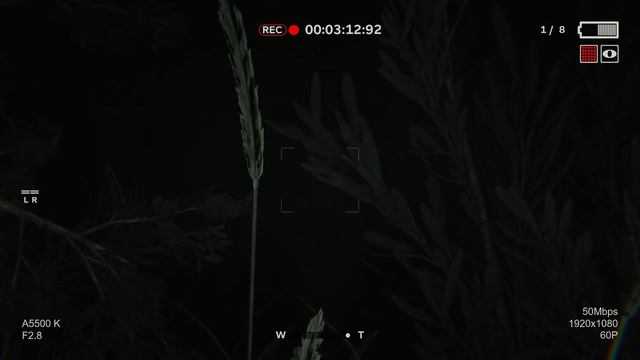 Outlast 2 Demo Бархатные ручки. Обзор. смотреть онлайн